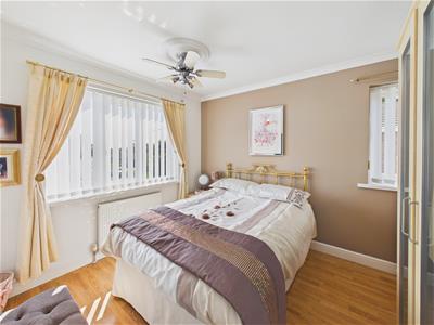 Picture 13
